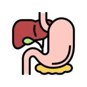 gastrointestinal-tract-color-icon-illustration-vector